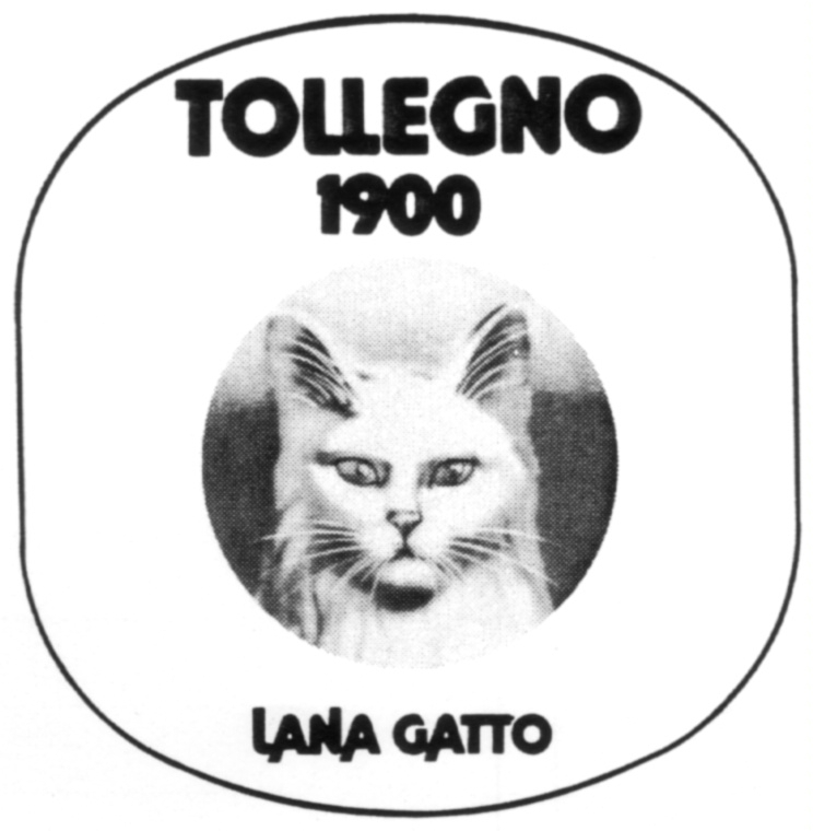 Lana Gatto, Tollegno 